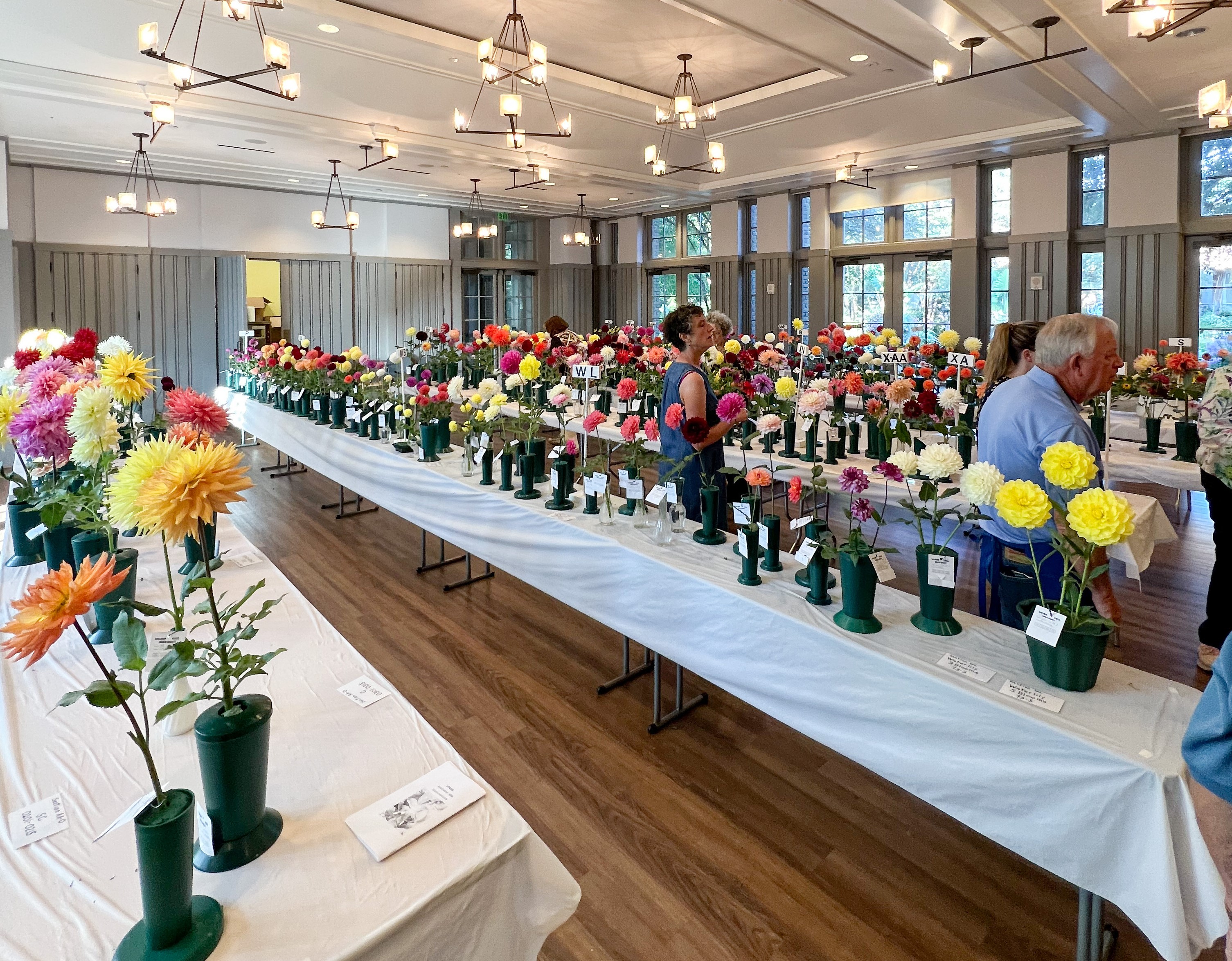 2023 Dahlia Show - Atlanta Botanical Gardens