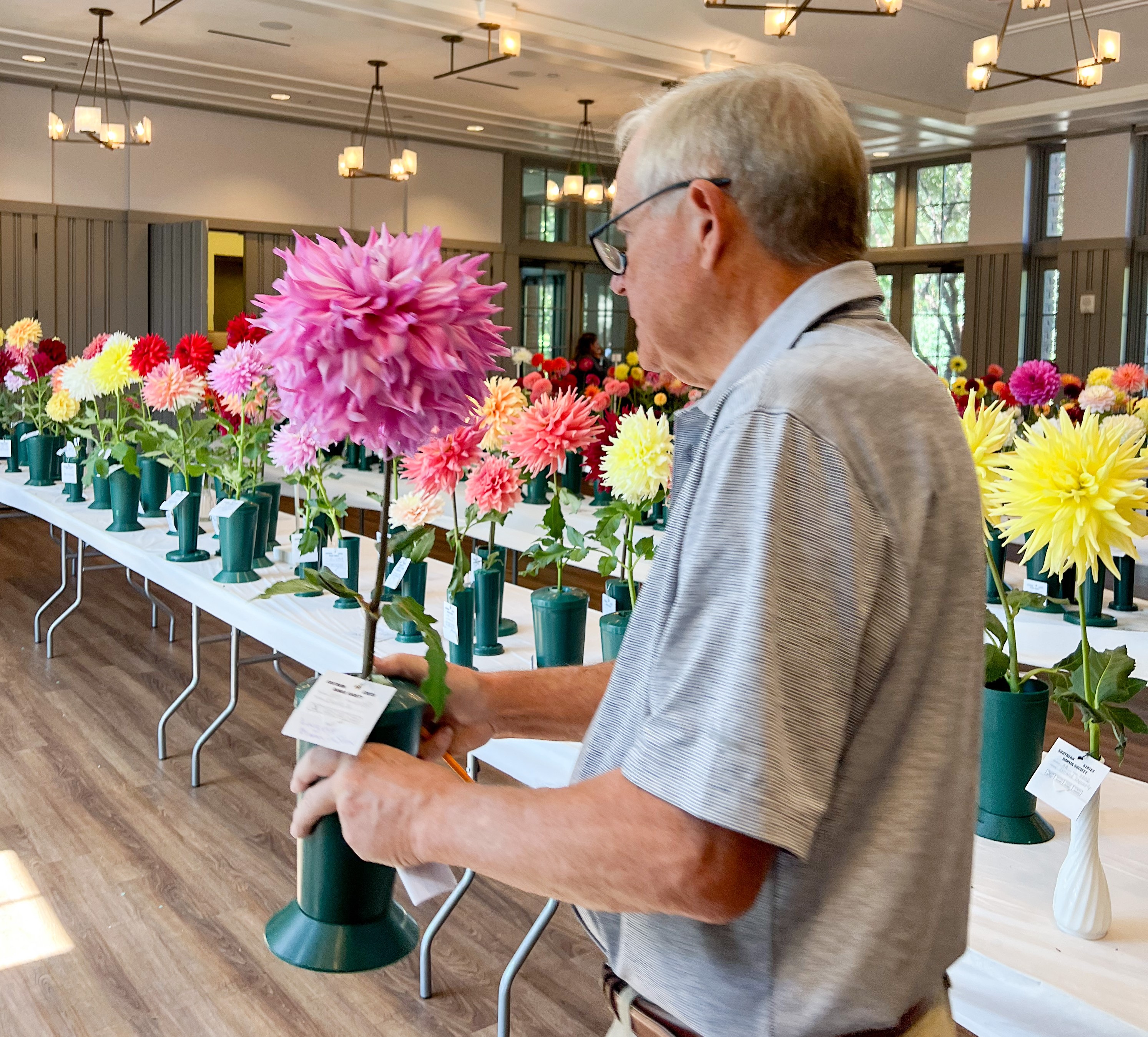 2023 Dahlia Show - Atlanta Botanical Gardens